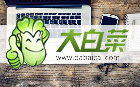 大白菜u盤重裝系統(tǒng)教程-大白菜u盤重裝系統(tǒng)教程圖示